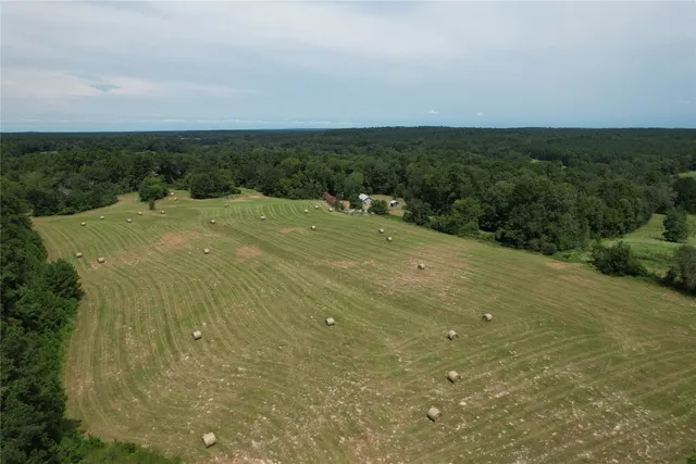 an aerial view of residential houses with outdoor space and trees