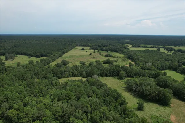 an aerial view of houses covered in trees