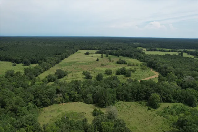 an aerial view of residential houses with outdoor space and trees