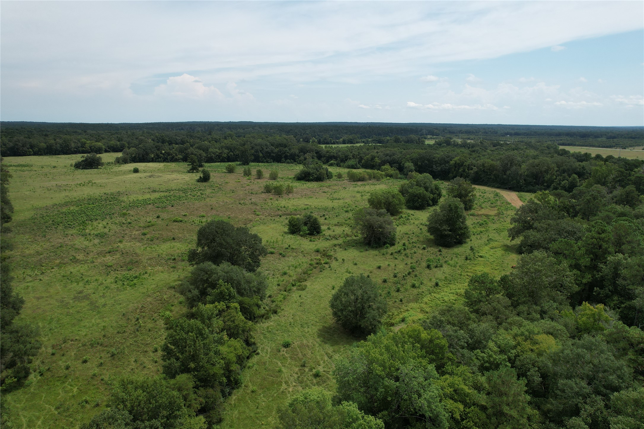 120 Fsr 513 Kennard, TX 75847 - Photo 38 of 47