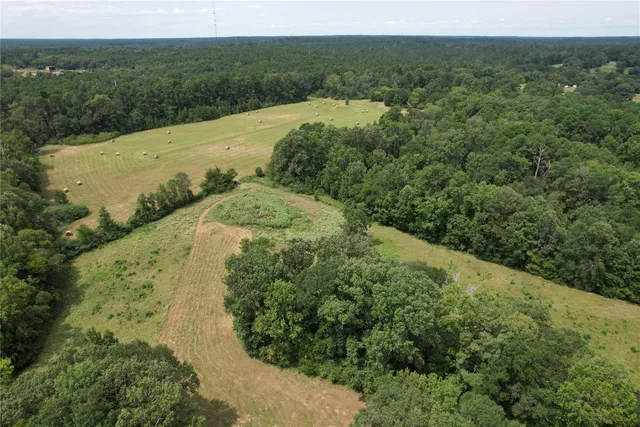 a view of a big yard with a large trees