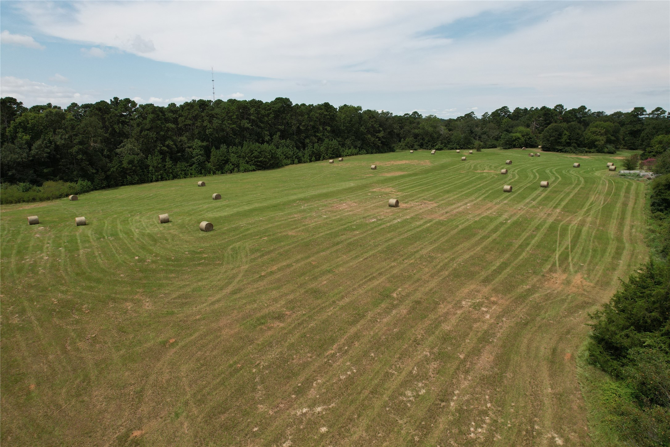 120 Fsr 513 Kennard, TX 75847 - Photo 41 of 47 a view of a big yard with a large trees