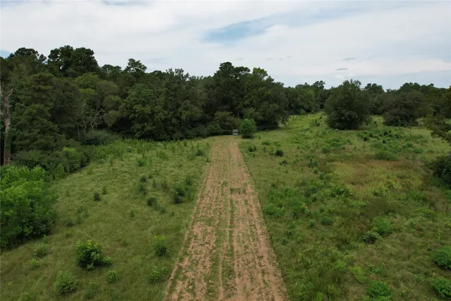 a view of a green field with lots of bushes