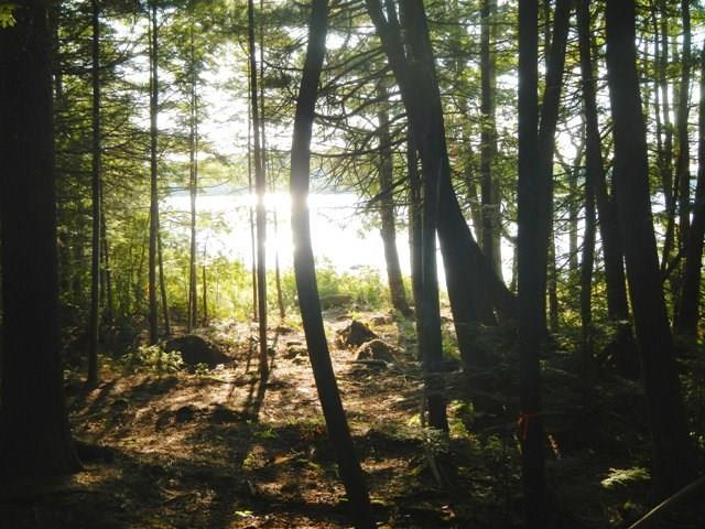Lot E Burlington Beach Road Burlington, ME 04417 - Photo 10 of 10 Photo
