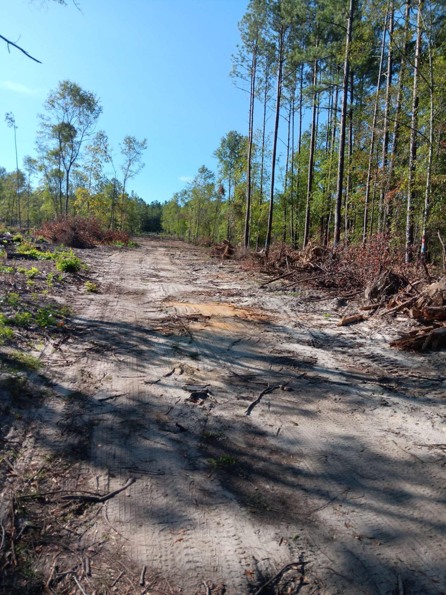 0 Londe Lane Barnwell, SC 29812 - Photo 10 of 12