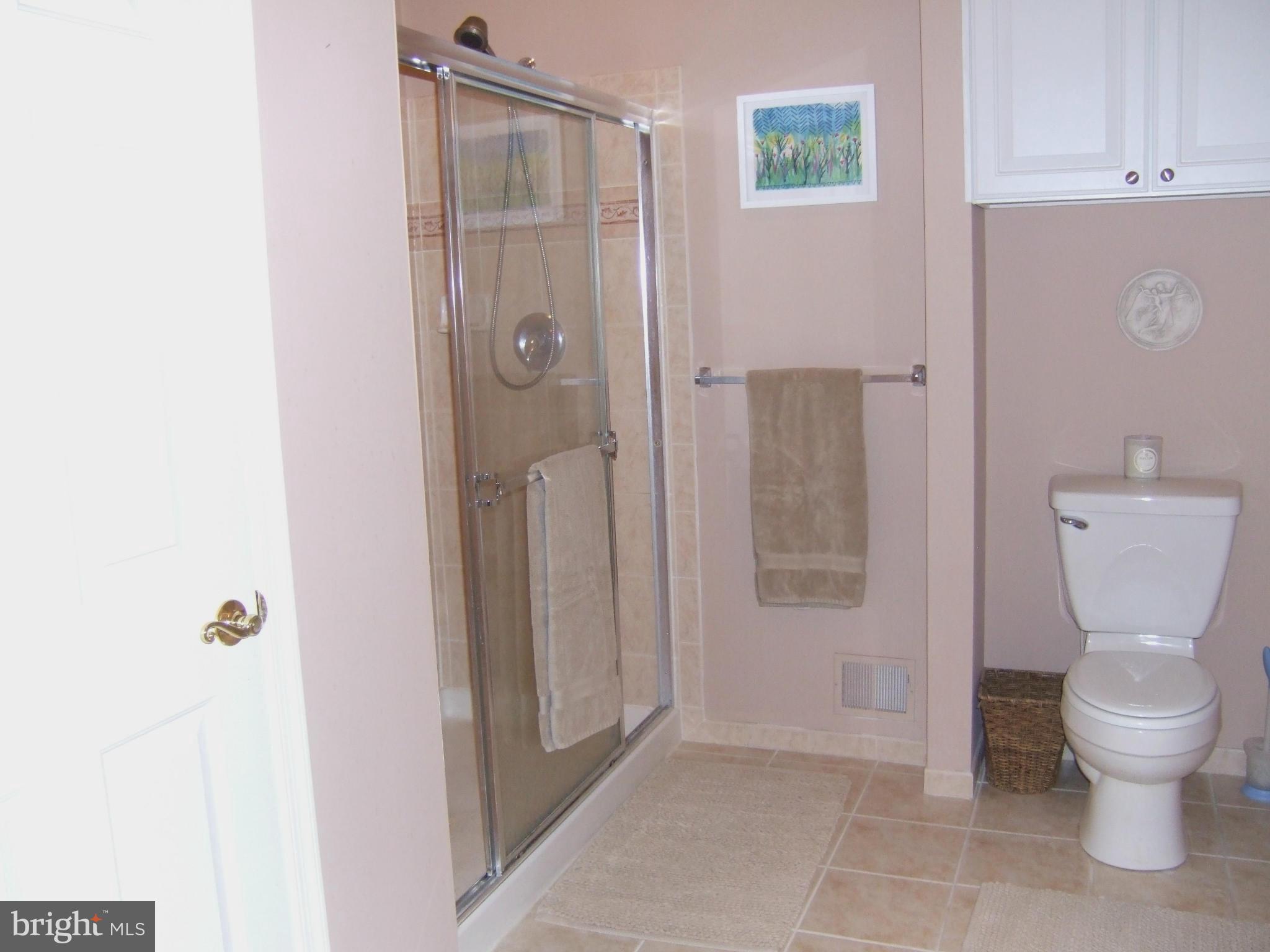 4412 Summer Grape Road, Unit 4412 Pikesville, MD 21208 - Photo 17 of 30 Bath (Master)