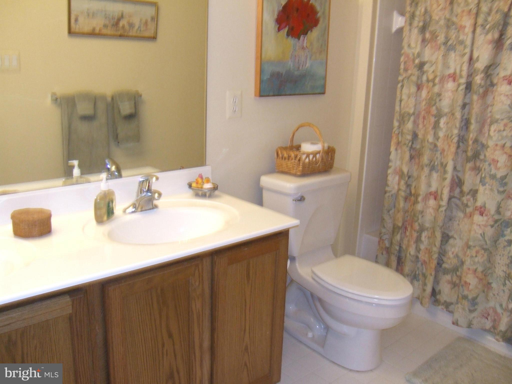 4412 Summer Grape Road, Unit 4412 Pikesville, MD 21208 - Photo 23 of 30 Bath