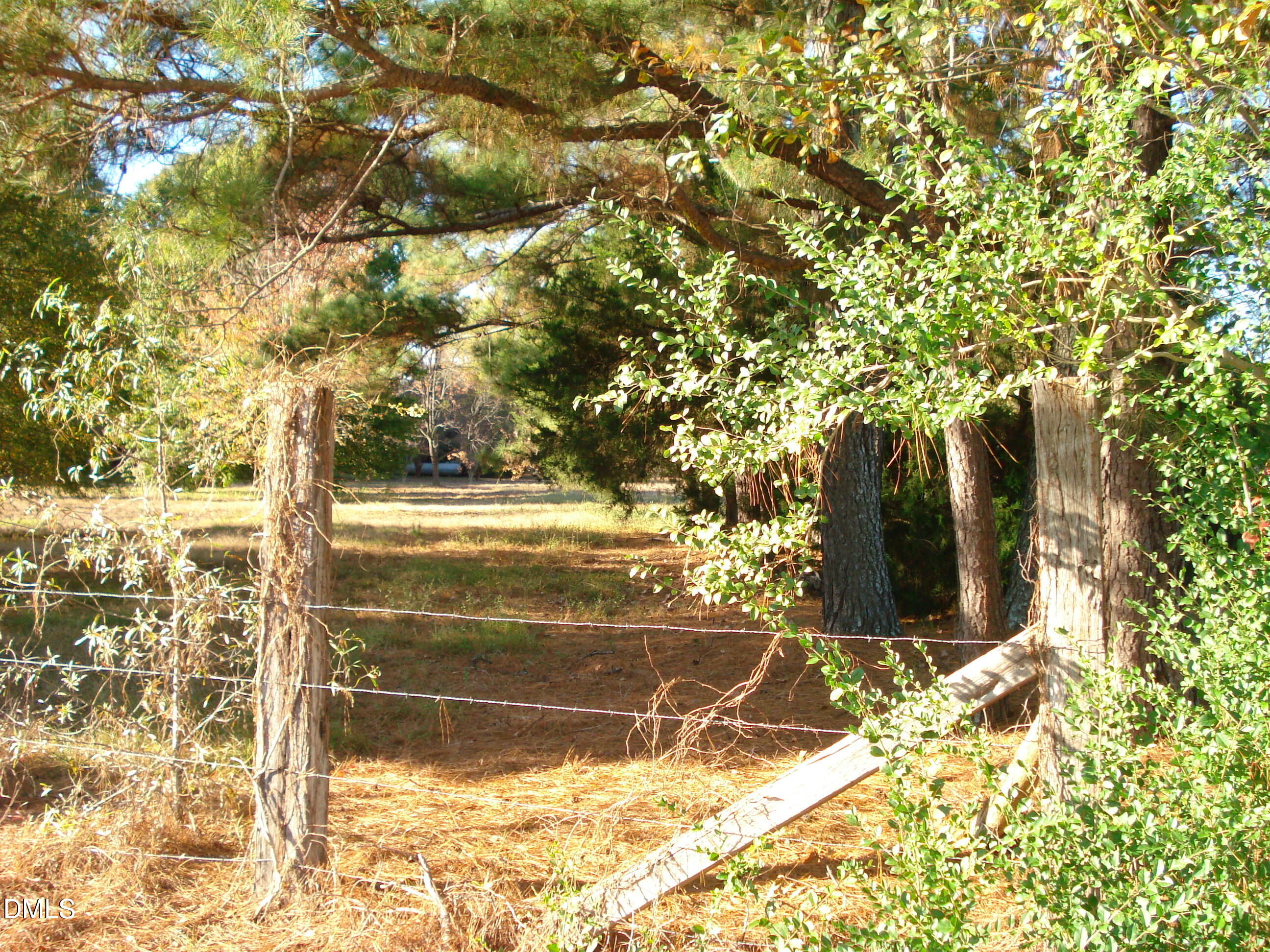 0 Bait Road Dunn, NC 28334 - Photo 16 of 33 a view of backyard with large trees