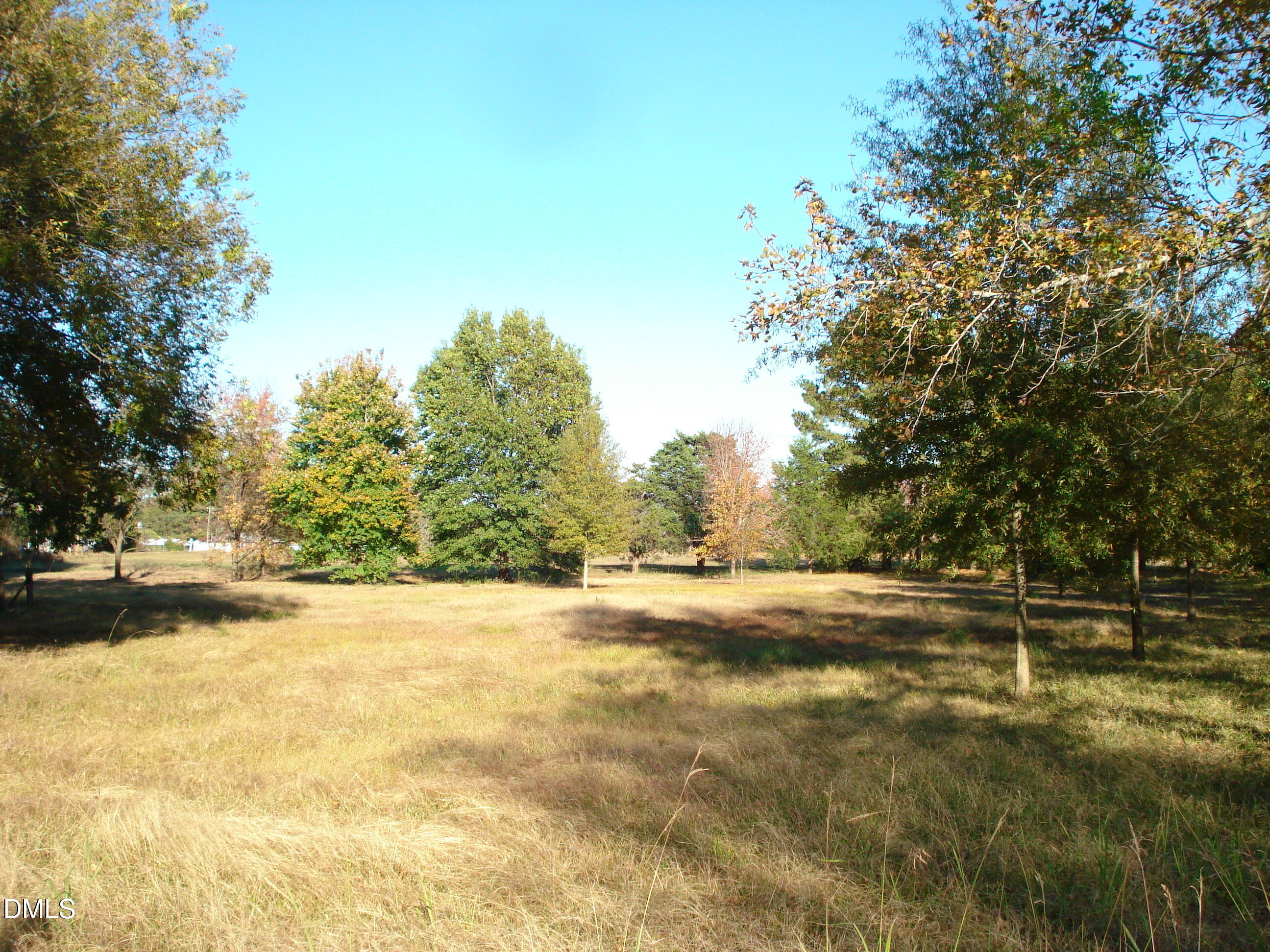 0 Bait Road Dunn, NC 28334 - Photo 5 of 33 a view of yard with trees