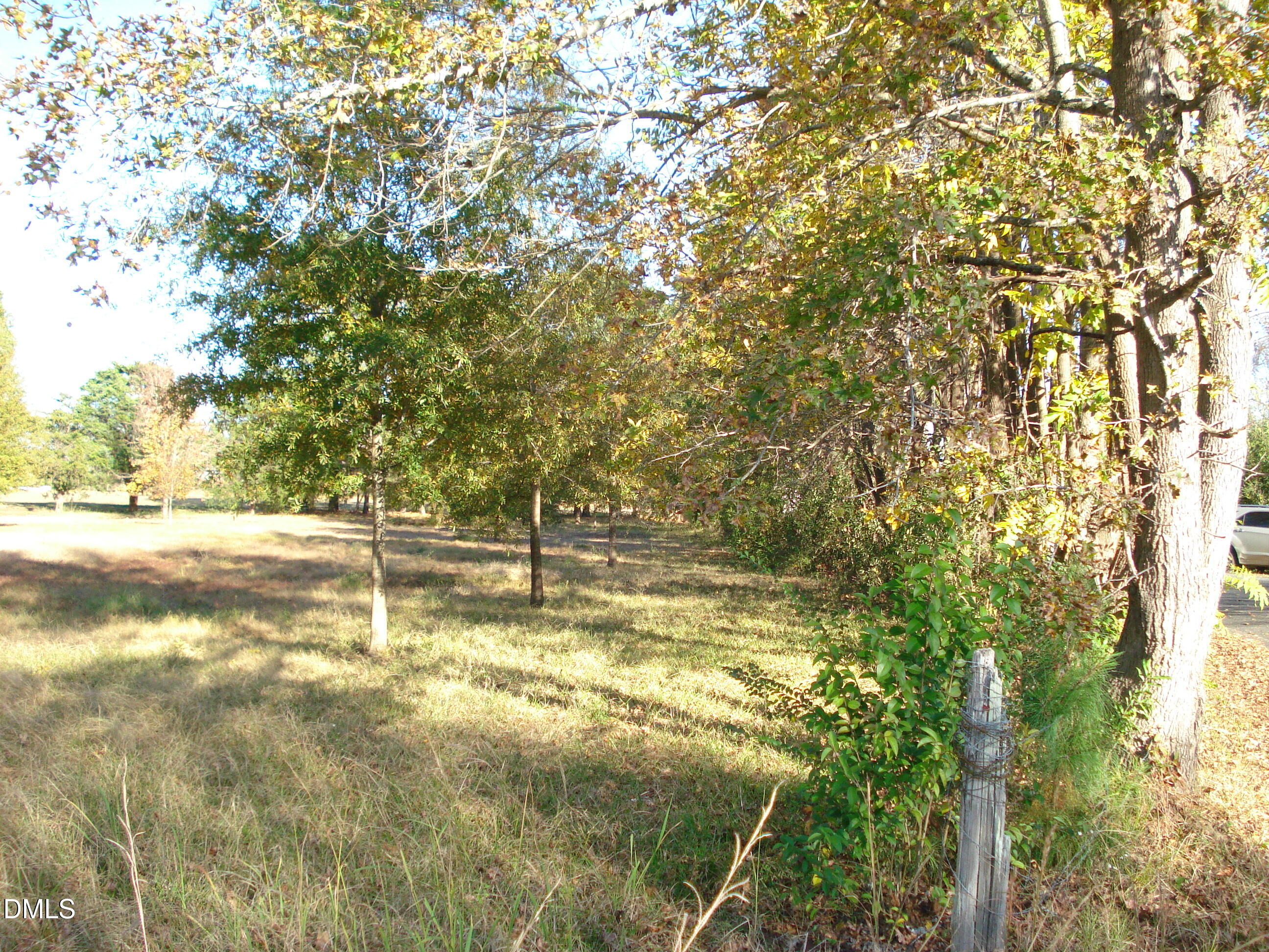 0 Bait Road Dunn, NC 28334 - Photo 10 of 33 a view of yard with trees