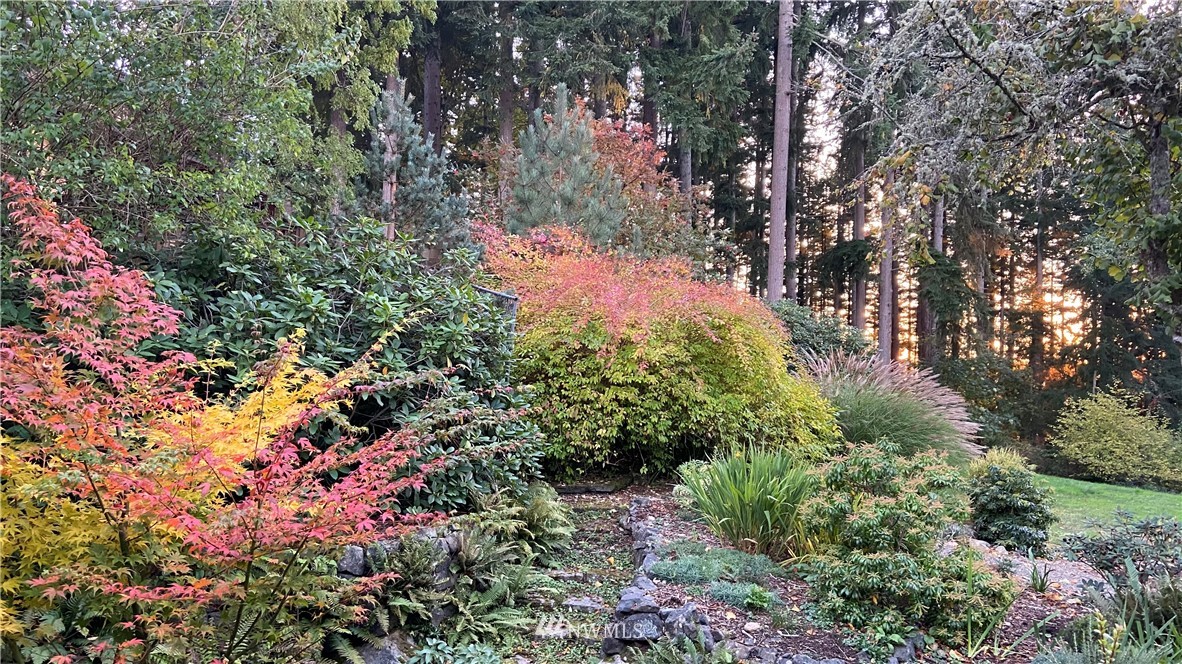 18109 Thorsen Road Southwest Vashon, WA 98070 - Photo 35 of 37 a view of a garden with plants
