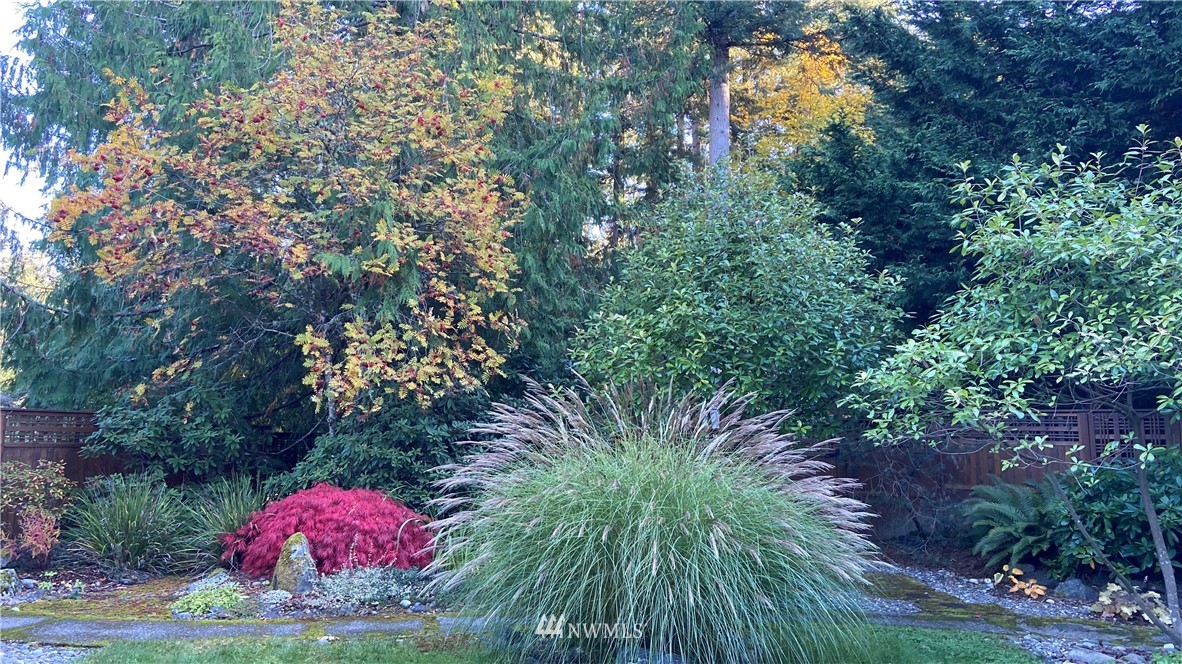 18109 Thorsen Road Southwest Vashon, WA 98070 - Photo 36 of 37 a view of a yard with plants and large trees