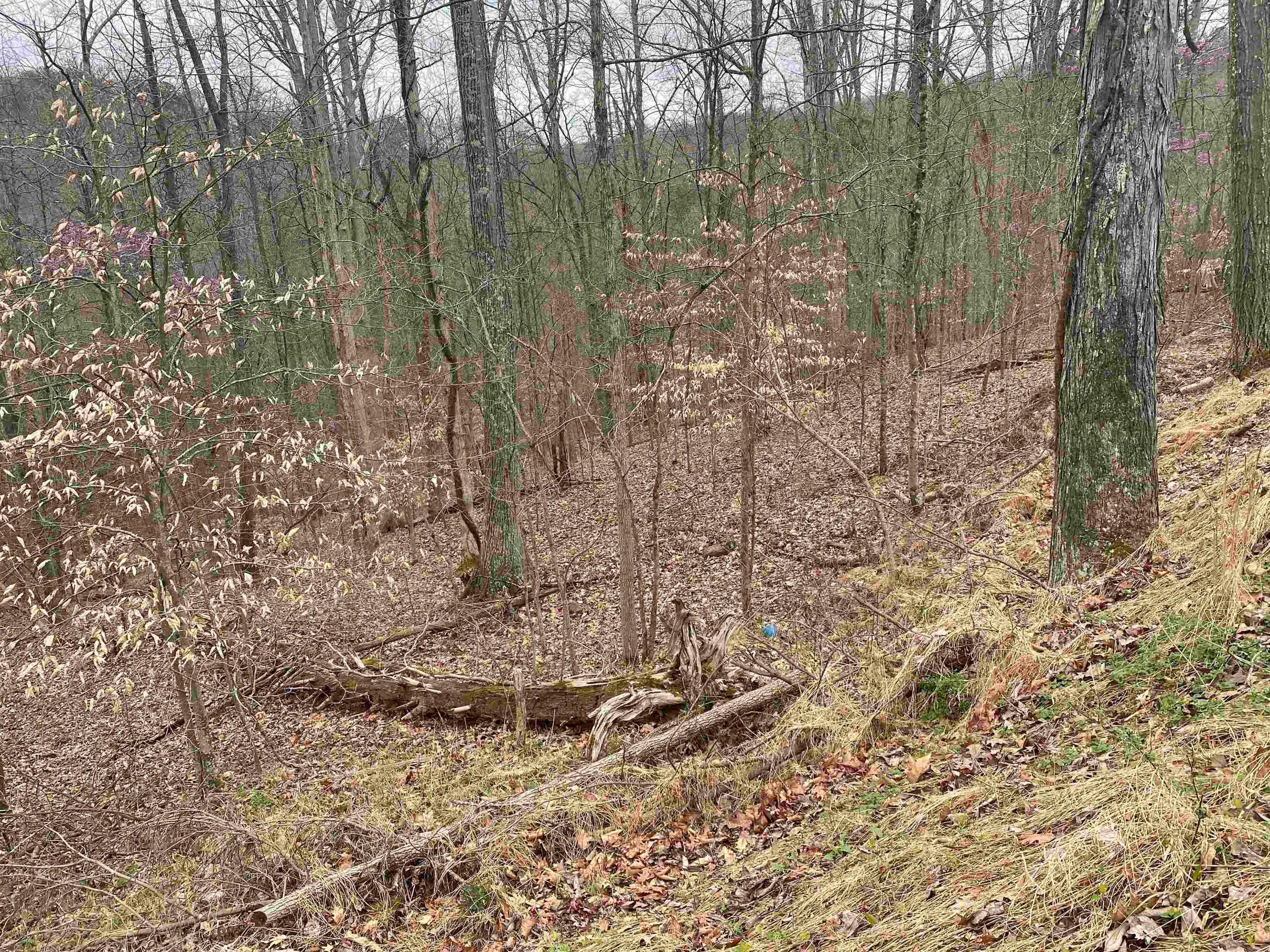 701 Tower Road Hurricane, WV 25526 - Photo 8 of 20 Gallery Image 8