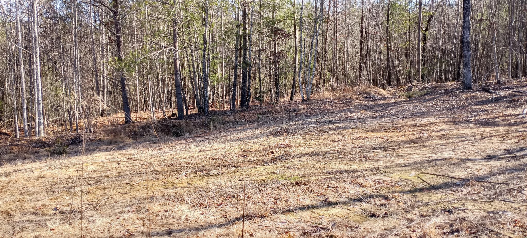 5959 Rock Falls Road, Unit 5 Morganton, NC 28655 - Photo 3 of 7 Gallery Image 3