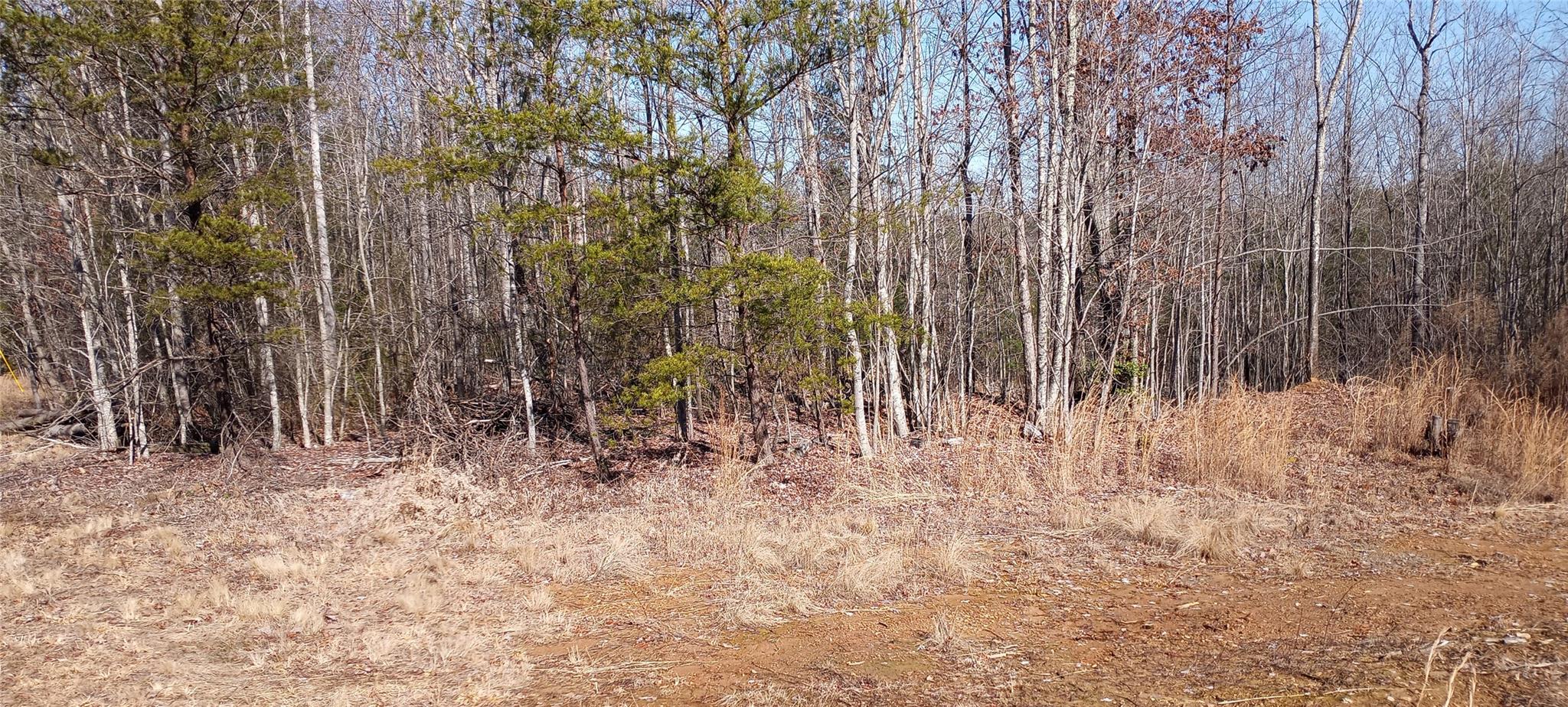 5959 Rock Falls Road, Unit 5 Morganton, NC 28655 - Photo 6 of 7 Gallery Image 6
