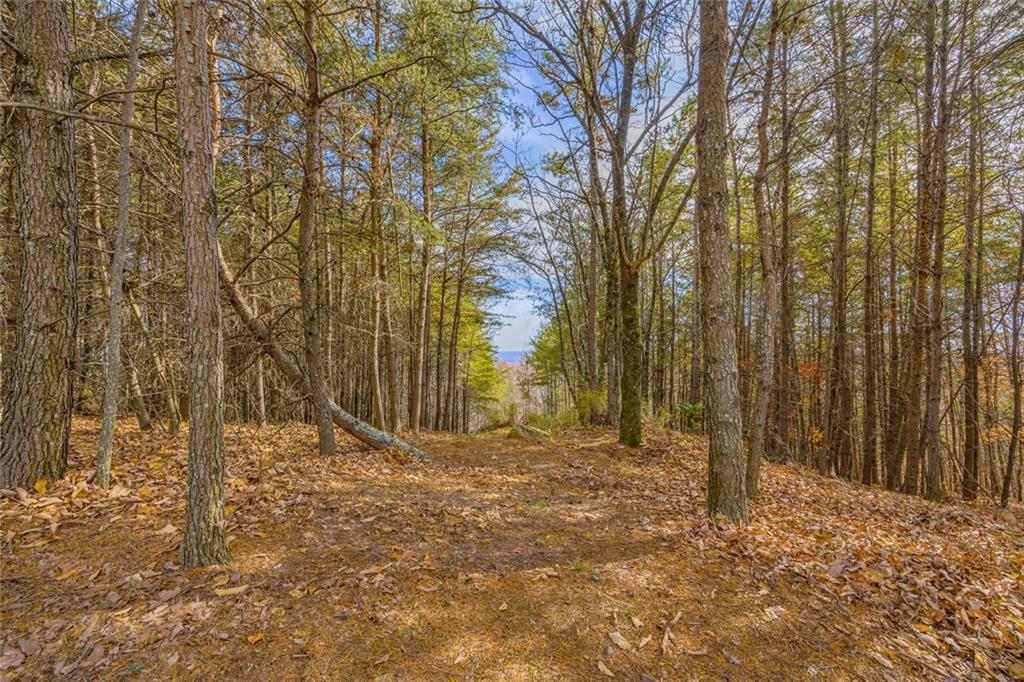 0 Eagle Ridge Trail Cleveland, GA 30528 - Photo 26 of 28
