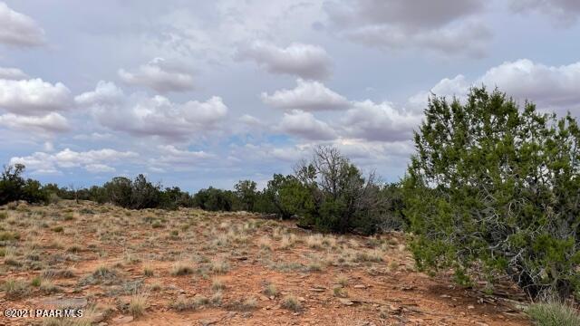 Lot 34 Snowflake Ranch Snowflake, AZ 85937 - Photo 8 of 8 a view of a dry yard with wooden fence