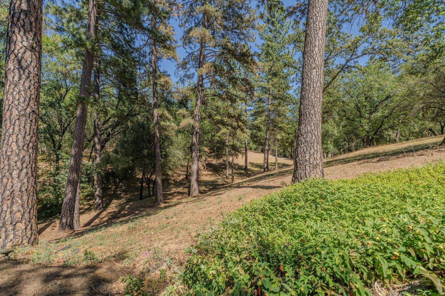 1281 Pleasant Valley Road, Unit 28 Diamond Springs, CA 95619 - Photo 31 of 36 REAR VIEW FROM BACK OF HOME