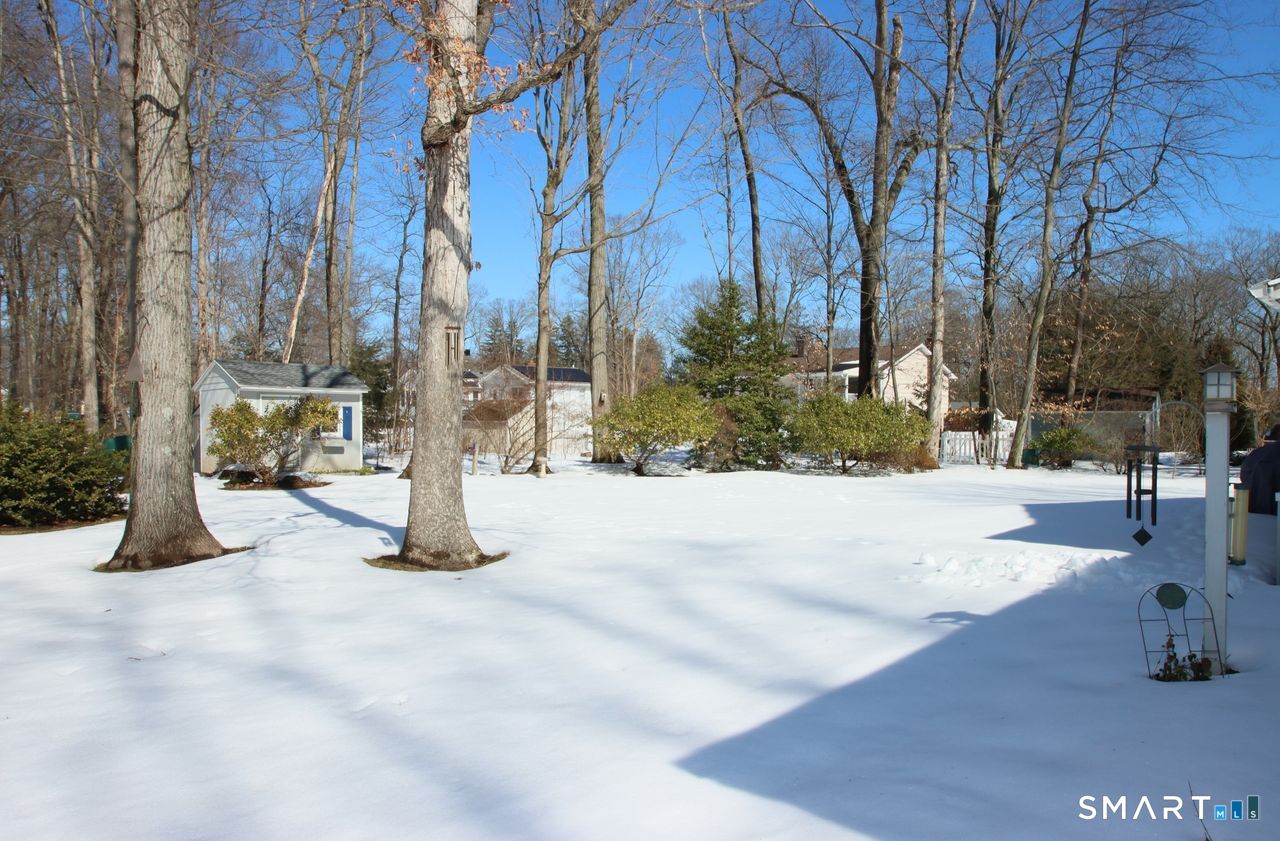 7 Old Forge Road North Haven, CT 06473 - Photo 33 of 40 a view of a park with tree