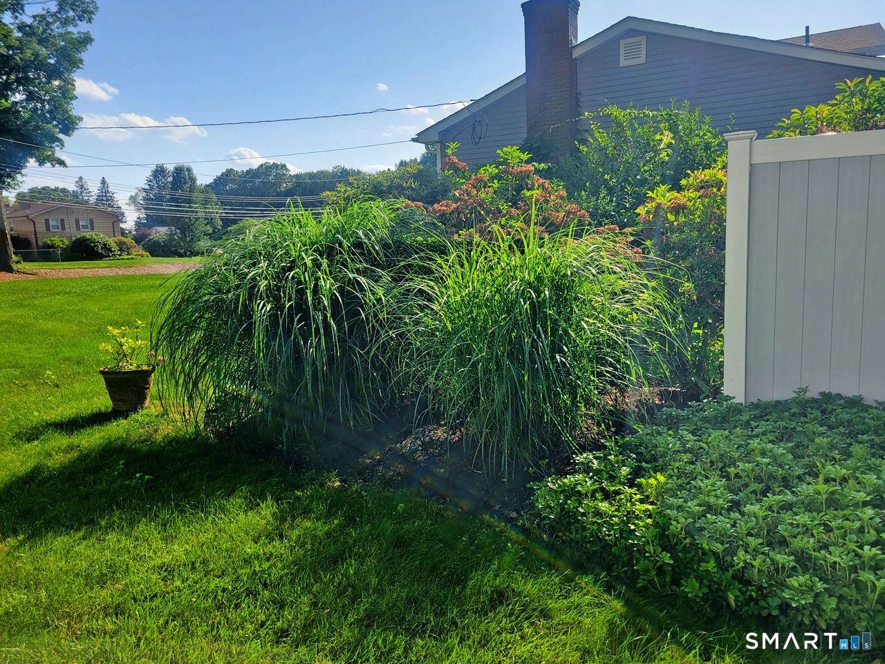 7 Old Forge Road North Haven, CT 06473 - Photo 35 of 40 a view of a garden