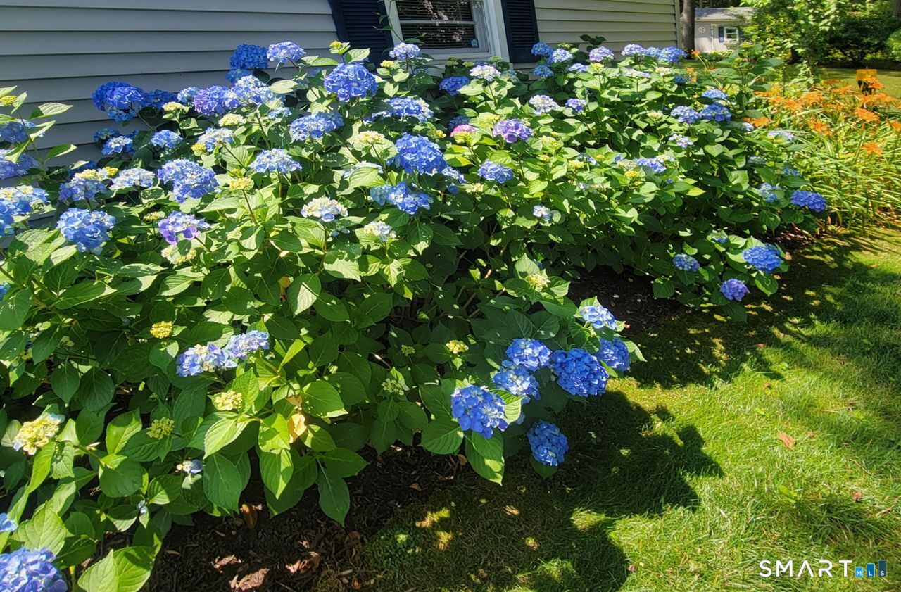 7 Old Forge Road North Haven, CT 06473 - Photo 38 of 40