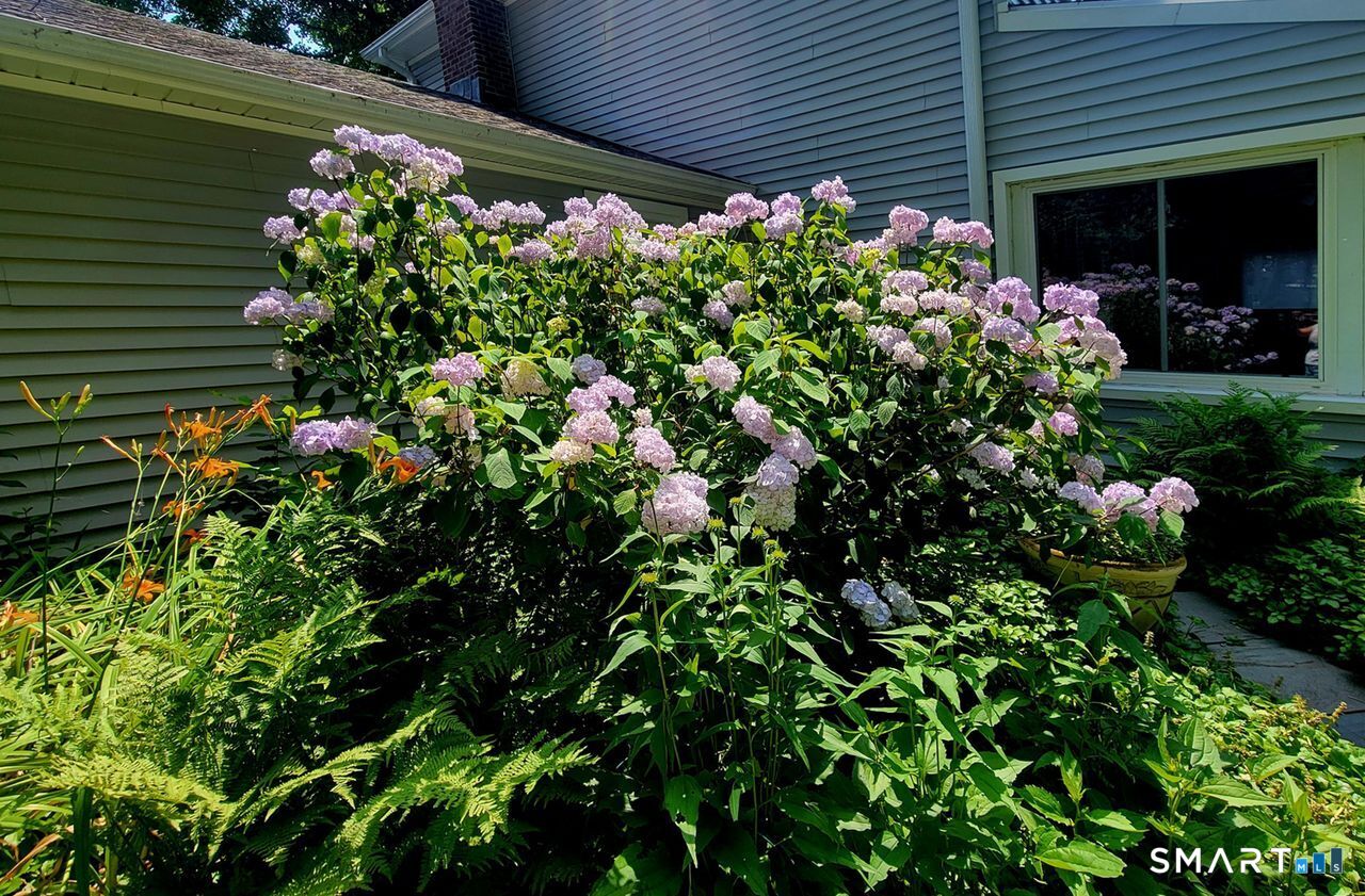 7 Old Forge Road North Haven, CT 06473 - Photo 39 of 40 a bunch of flowers in front of the house