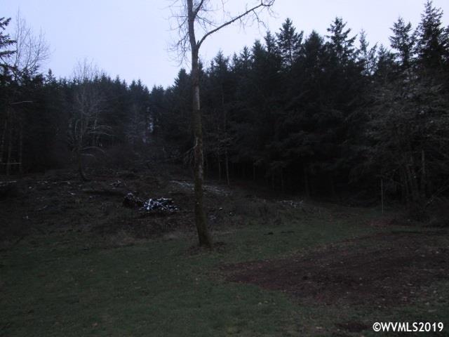2344 Bates Farm Way Salem, OR 97306 - Photo 4 of 8