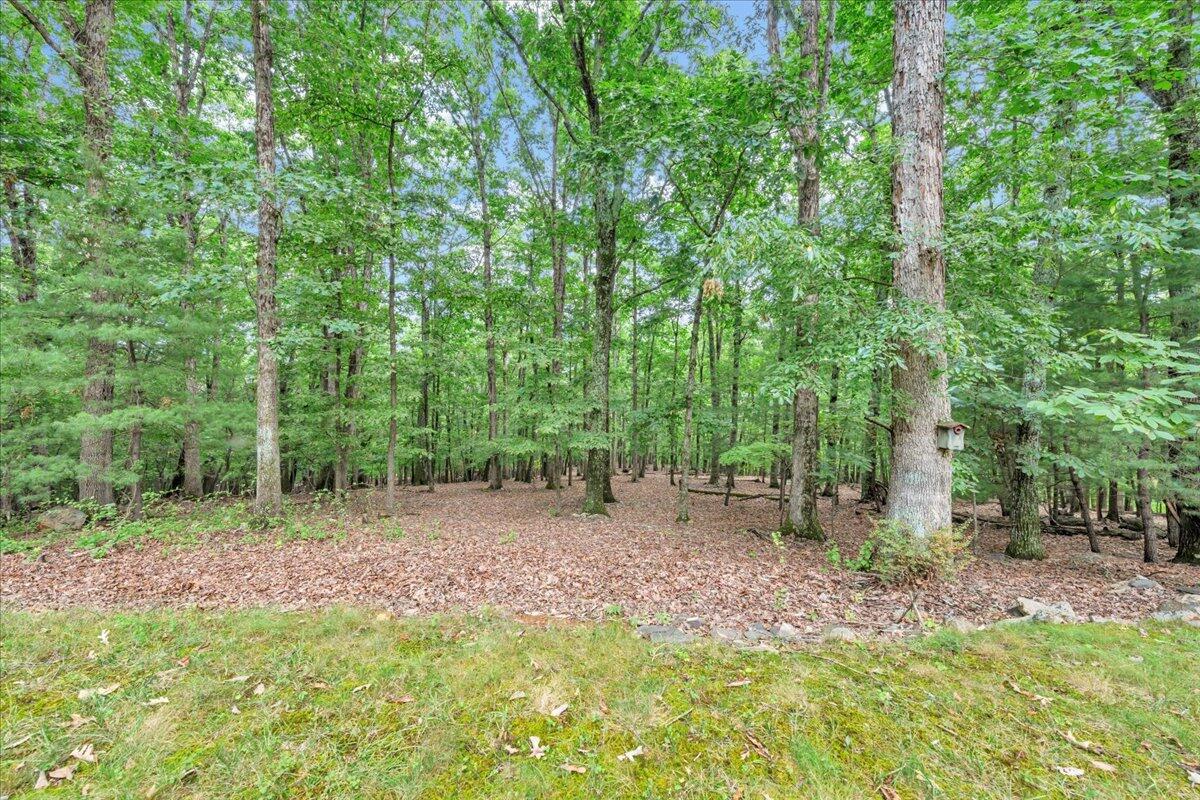 5115 Falcon Ridge Road Roanoke, VA 24018 - Photo 64 of 73 59-MIB05350