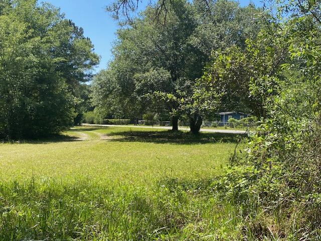41 Pine Grove Road Beaufort, SC 29906 - Photo 4 of 4 41 Pine Grove Rd Yard
