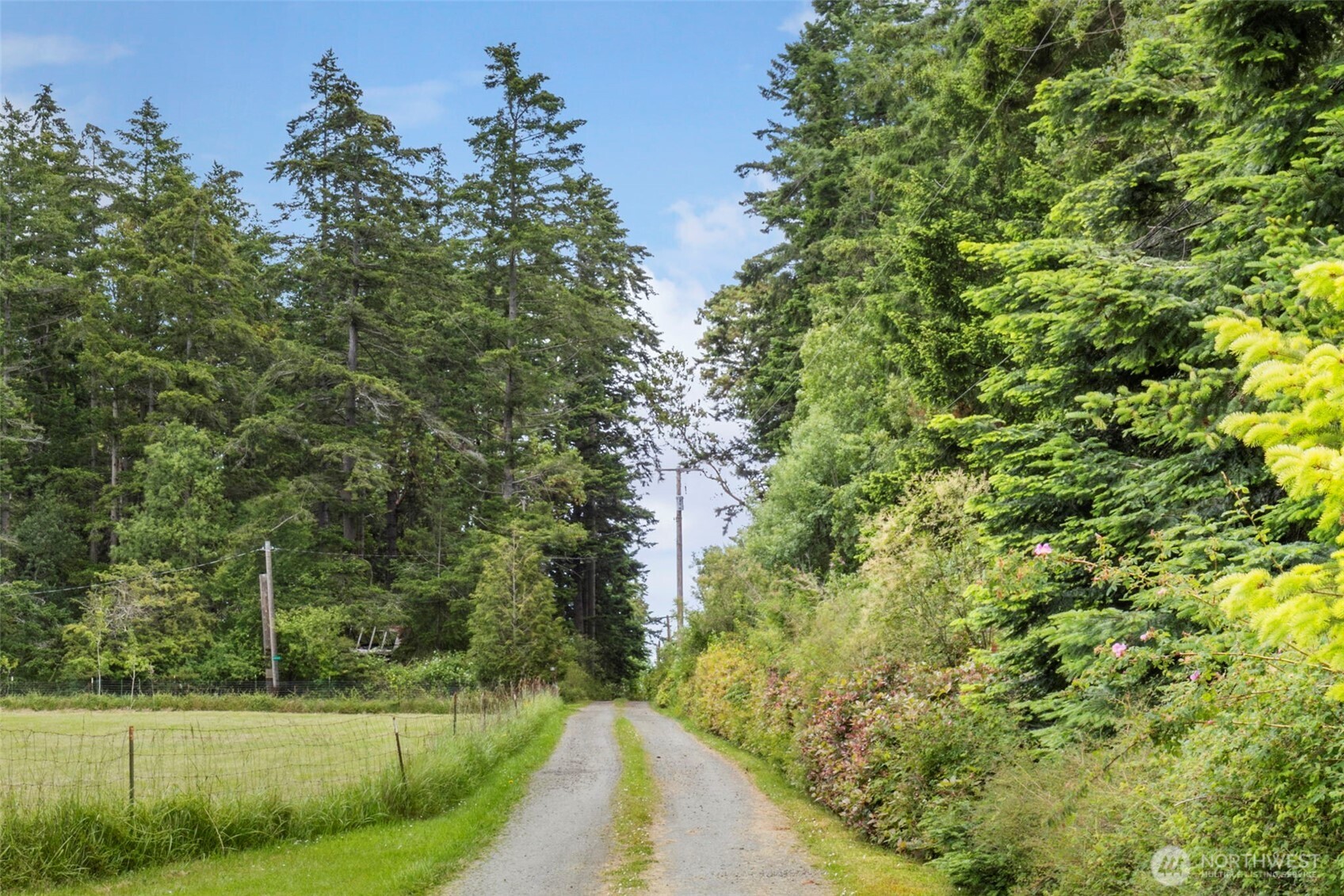 193 Plute Road Nordland, WA 98358 - Photo 20 of 29