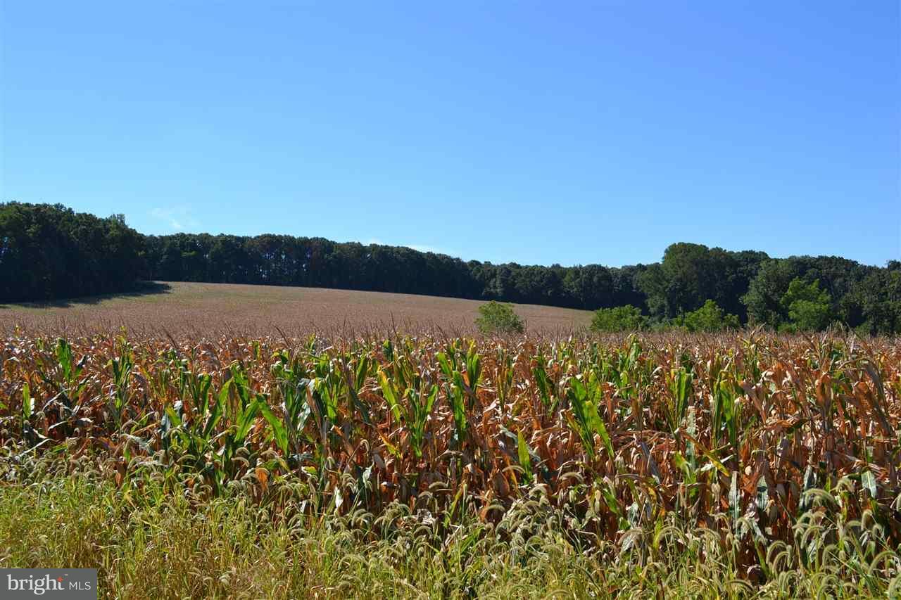 0 Chestnut Grove Road Spring Grove, PA 17362 - Photo 1 of 5 a view of mountain with lake view