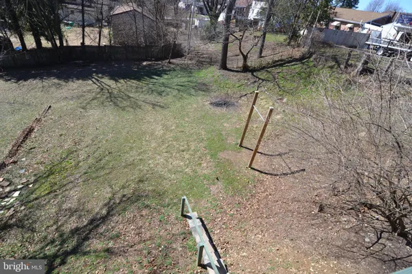 a picture of a tree in a yard