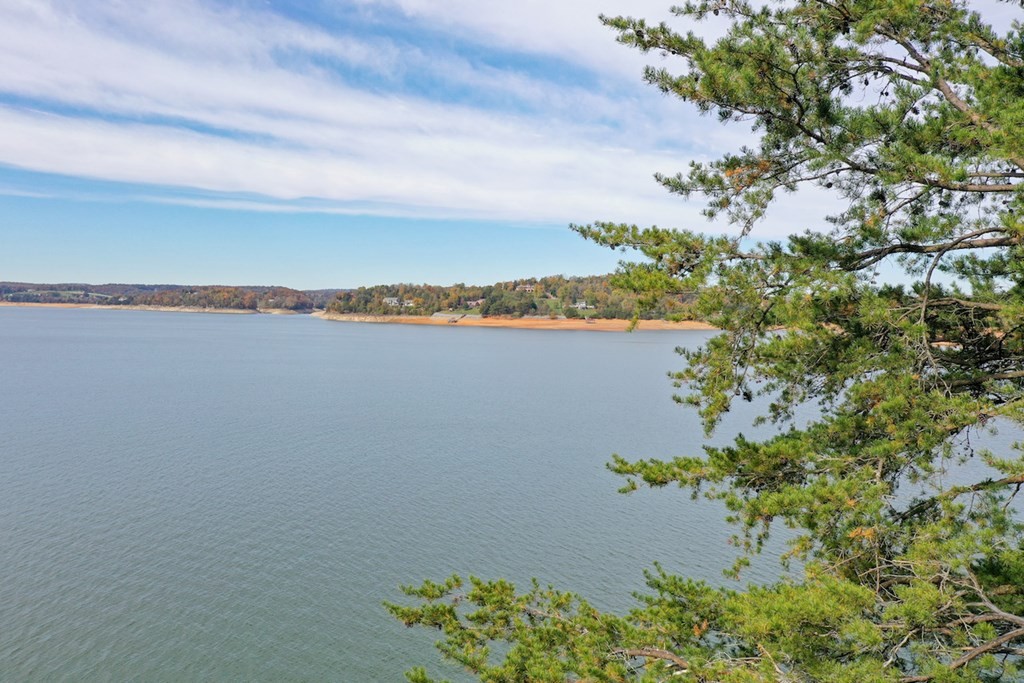 0 Lot 19 Maurice Road Sevierville, TN 37876 - Photo 20 of 21 a view of a lake