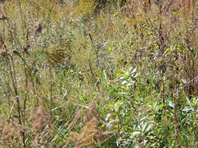 6431 School House Road Paragon, IN 46166 - Photo 3 of 4