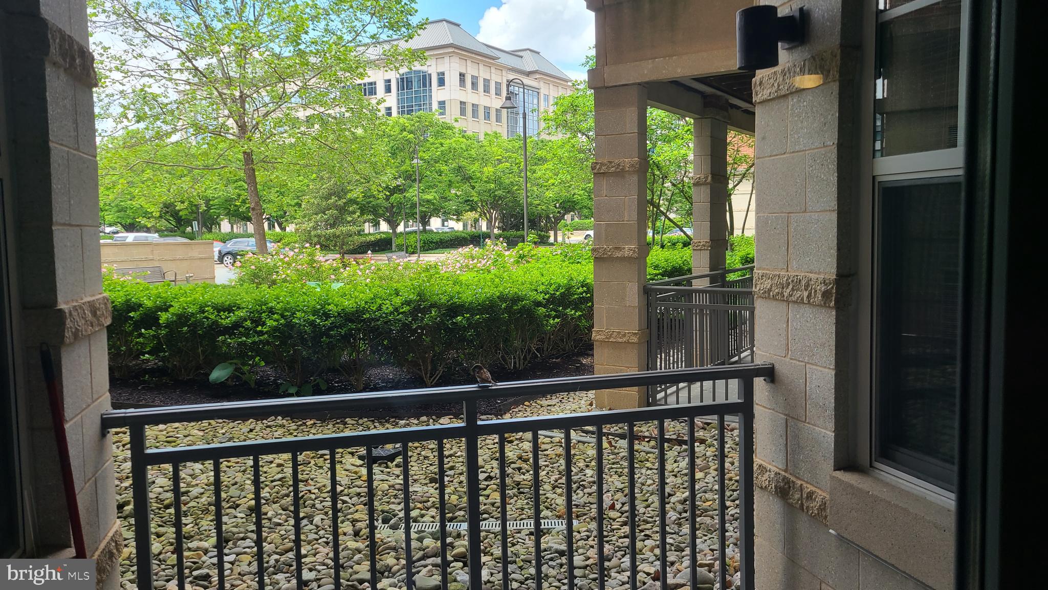 11770 Sunrise Valley Drive, Unit 120 Reston, VA 20191 - Photo 12 of 41 a view of a balcony with a tree