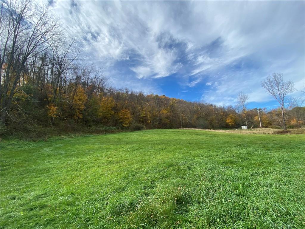 290 Calverts Hill Road Spraggs, PA 15362 - Photo 7 of 22 a view of grassy field with mountain