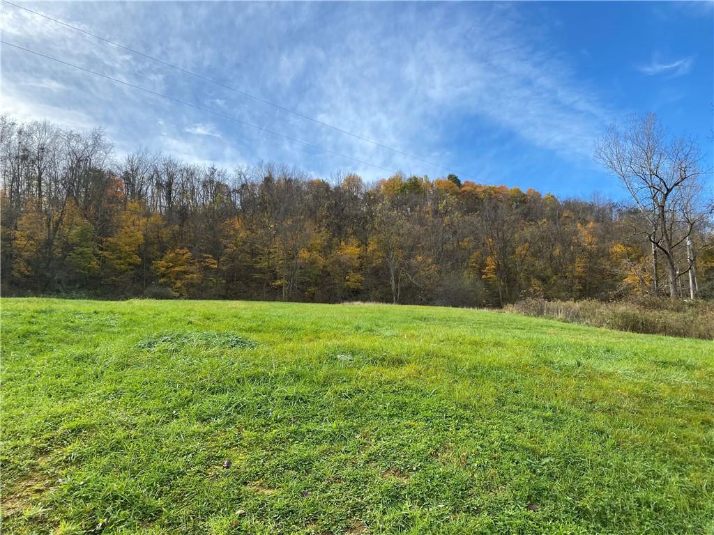 290 Calverts Hill Road Spraggs, PA 15362 - Photo 8 of 22 a view of a yard with a tree