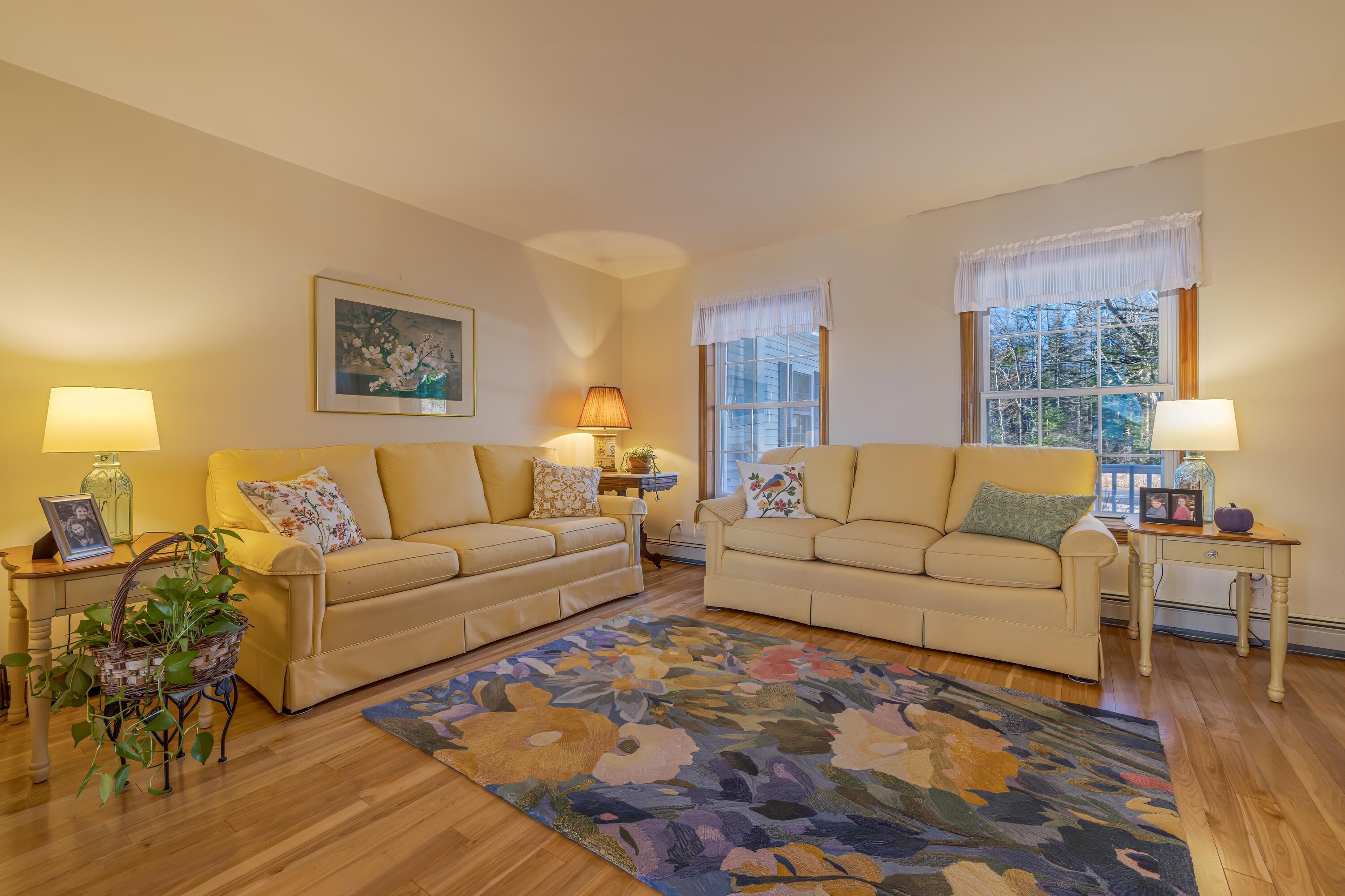 487 Paul Bunyan Road Gouldsboro, ME 04624 - Photo 11 of 64 19-487 Paul Bunyan Road-DTP