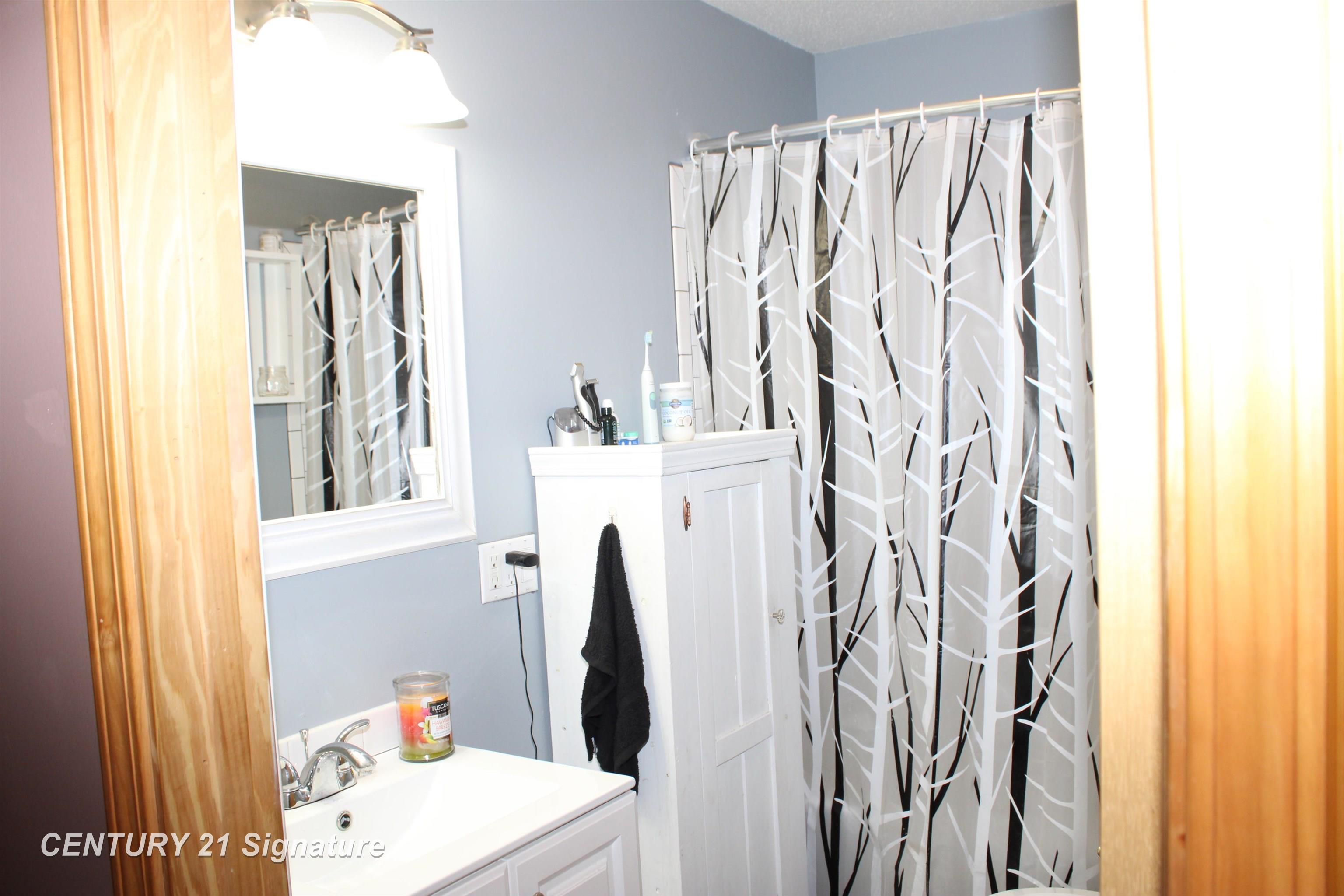 13181 Baumgartner Road St. Charles, MI 48655 - Photo 11 of 29