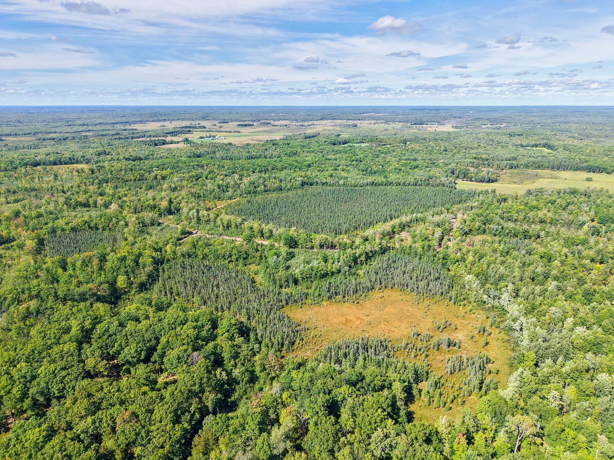 Xxx Fleming Logging Road Hinckley, MN 55037 - Photo 60 of 87 Gallery Image 60