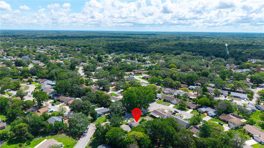 8702 Powderhorn Row Hudson, FL 34667 - Photo 40 of 44