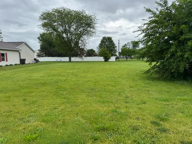 a view of yard with green space