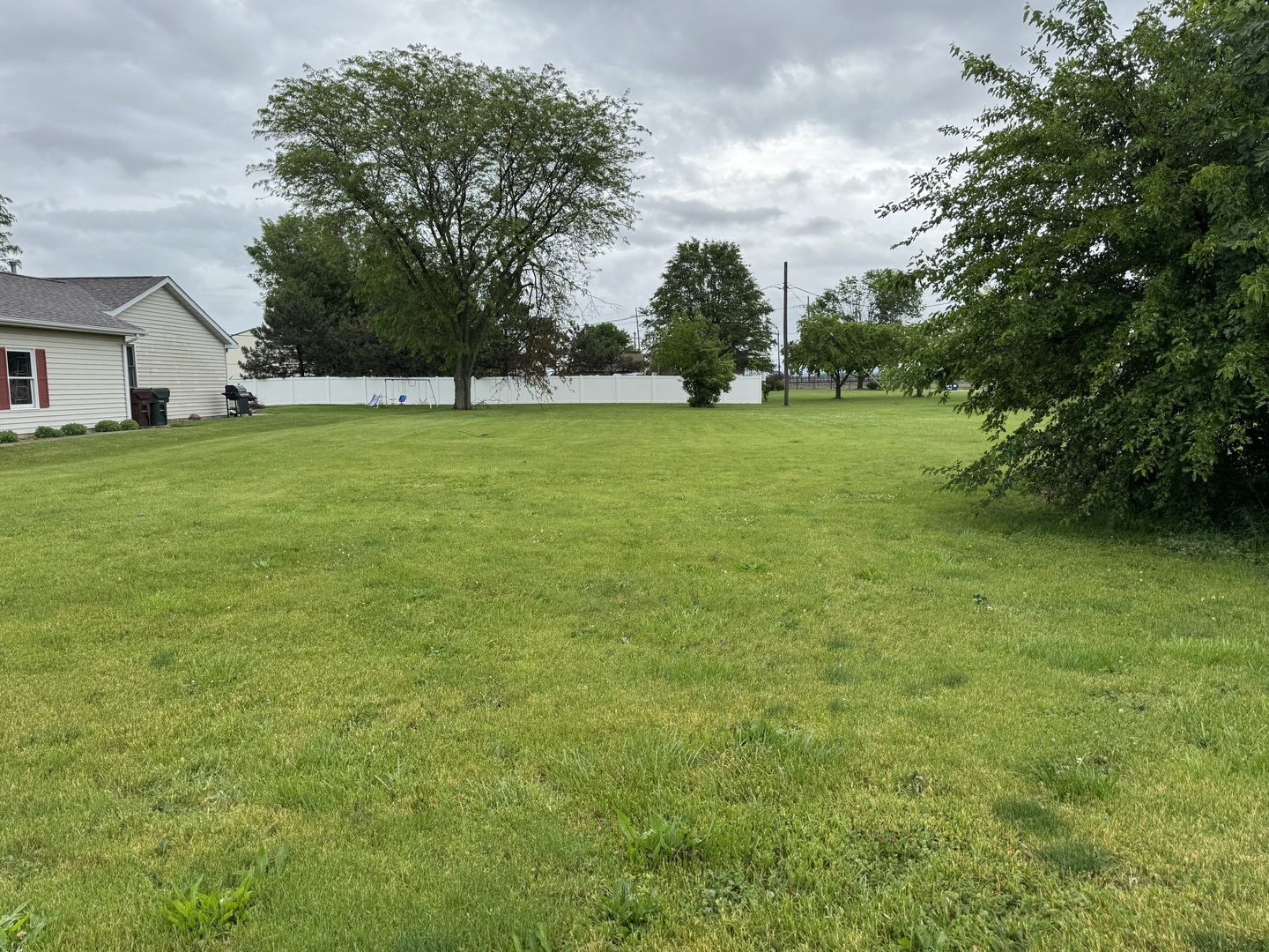 a view of yard with green space
