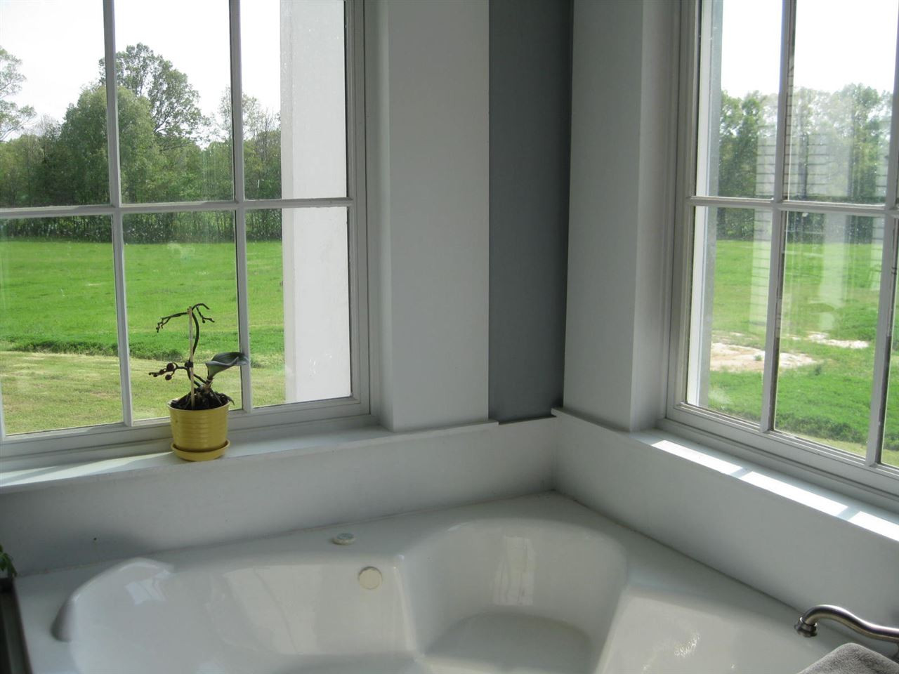 1565 Old Dover Road Bentonia, MS 39040 - Photo 21 of 49 Photo 21