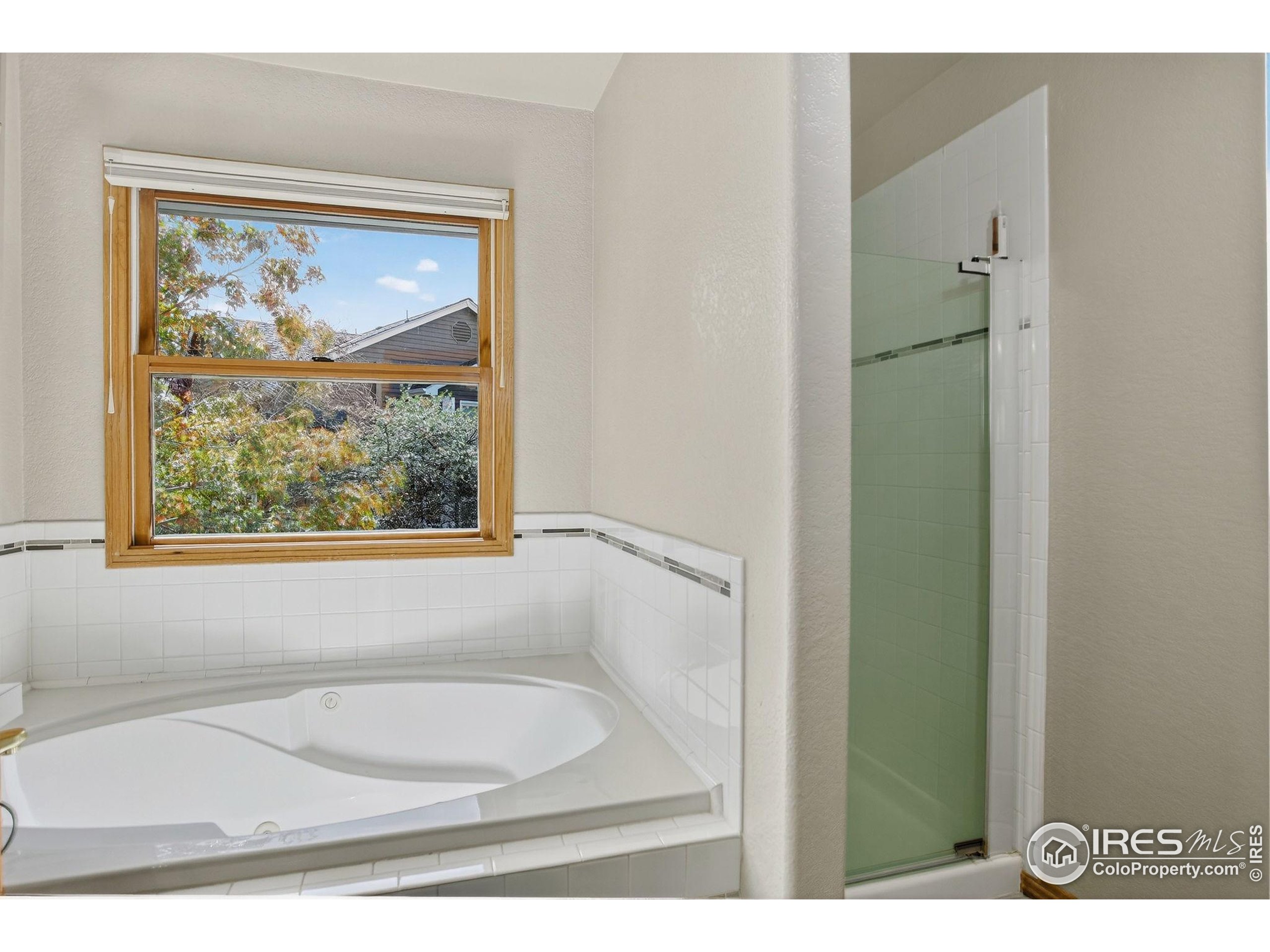 1840 Red Cloud Road Longmont, CO 80504 - Photo 19 of 42 a bathroom with a tub and a painting on the wall