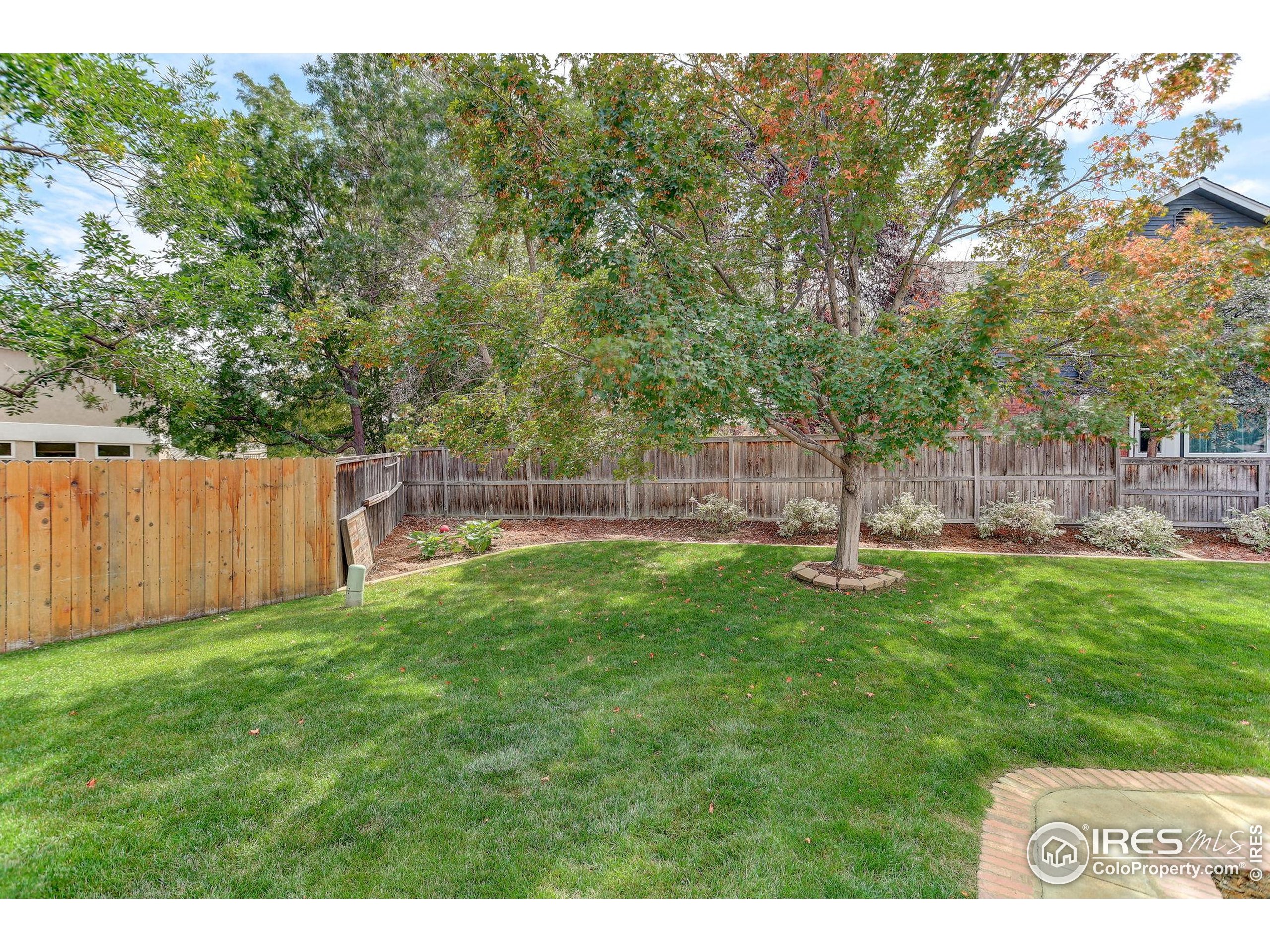 1840 Red Cloud Road Longmont, CO 80504 - Photo 37 of 42 a view of a yard with a tree