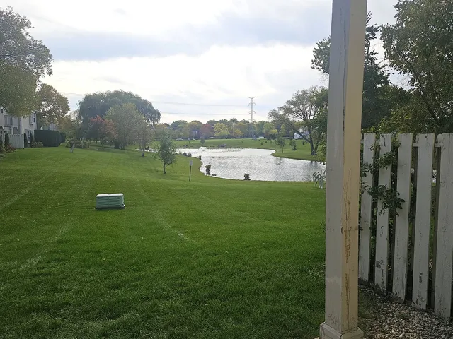 a view of a garden with an outdoor space