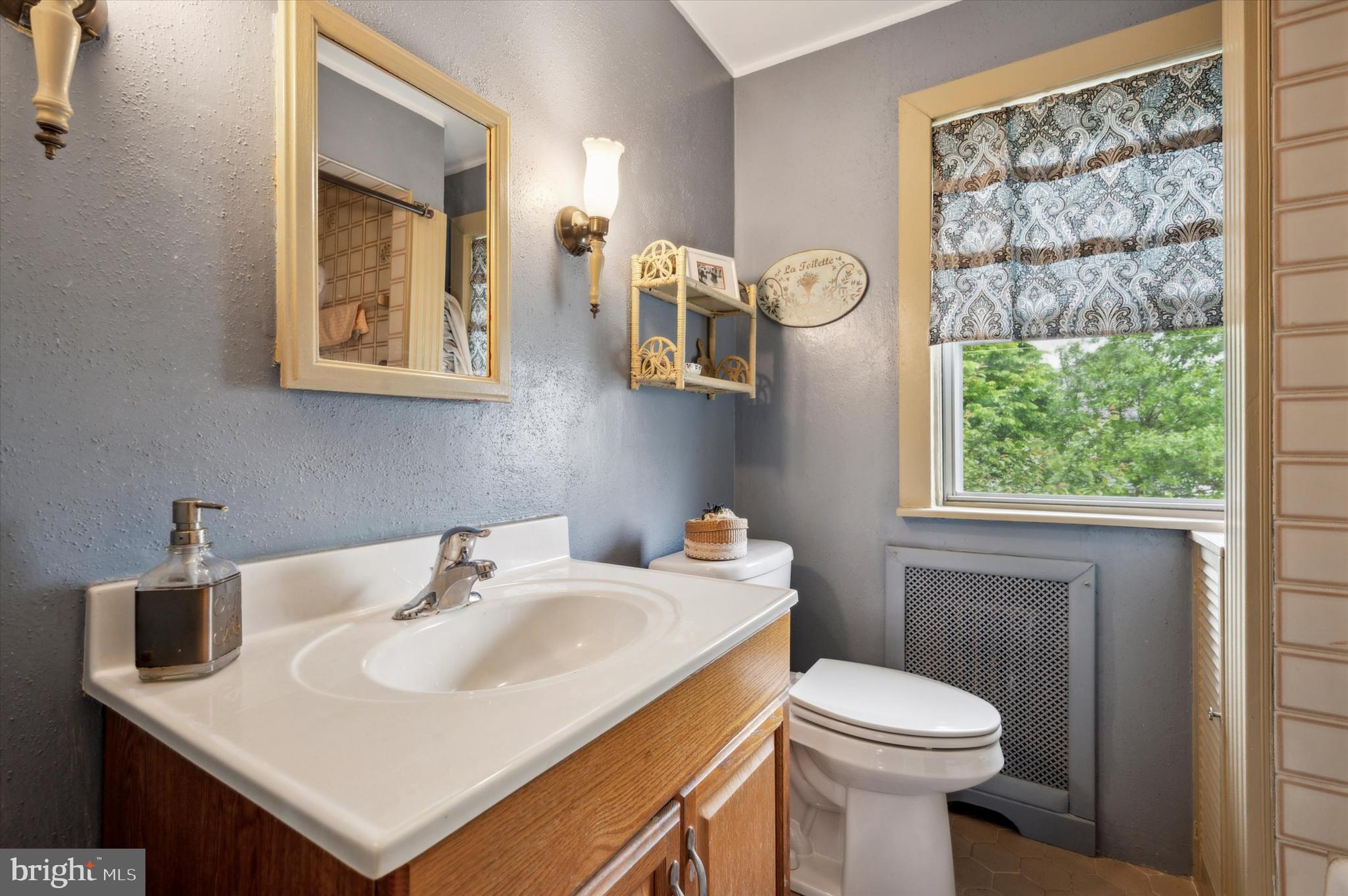 253 Sagamore Road Havertown, PA 19083 - Photo 23 of 25 a bathroom with a sink a toilet and a mirror