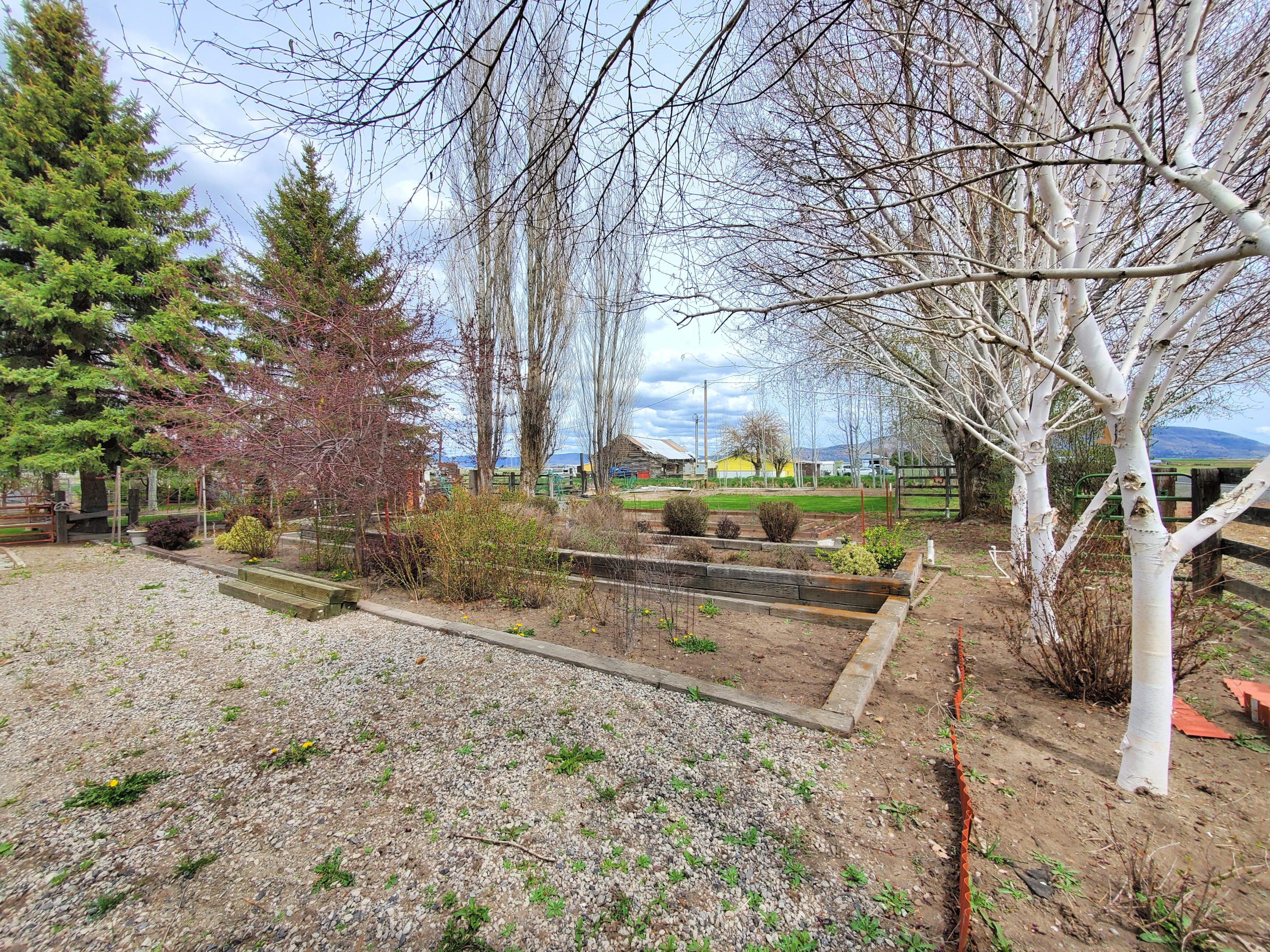 2341 Cross Road Klamath Falls, OR 97603 - Photo 24 of 33 Fenced garden area, view from the driveway. Shed to the left, street to the right, fence just behind