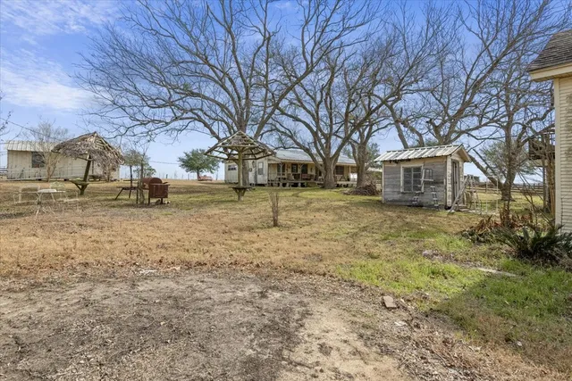 a view of a yard with a large tree